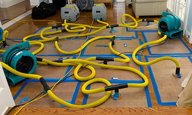 Professional Sewage Cleanup technician working in Florence, TX